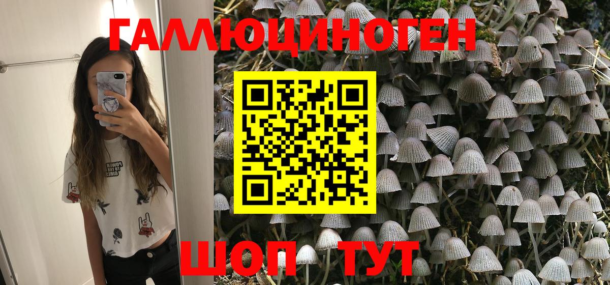 Псилоцибиновые грибы прущие грибы Кострома