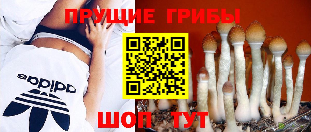 Кострома  Псилоцибиновые грибы Magic Shrooms  Вход с VPN 